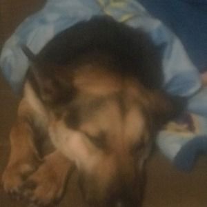 Meet your Posher, Cole